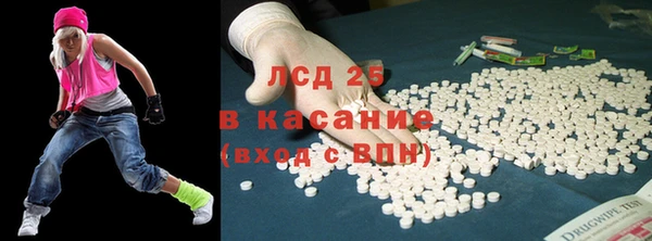 стафф Алзамай