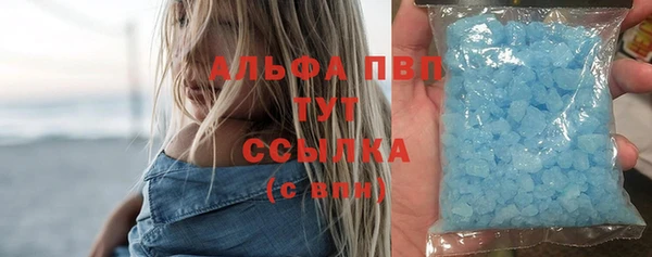 стафф Алзамай