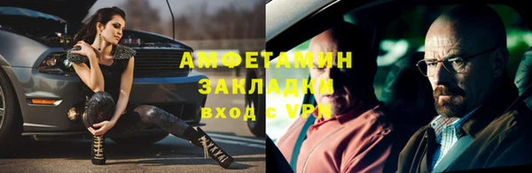 стафф Алзамай