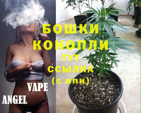 стафф Алзамай