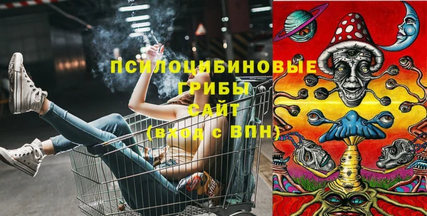 индика Алексеевка