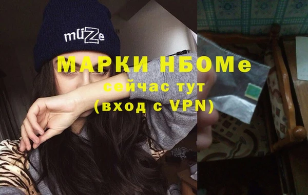 стафф Алзамай